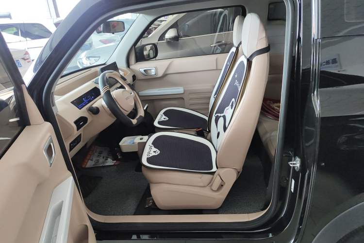 Used  Panda 2024 200km Panda Kart
