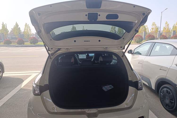 Used BYD Dolphin 2024 Honor Edition 420km Freedom Version