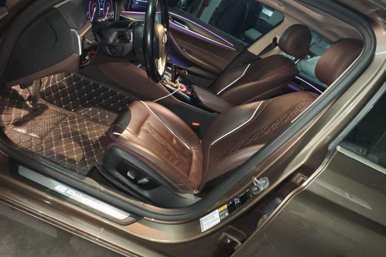 Used BMW 5 Series New Energy 2019 Updated Version 530Le Luxury Package