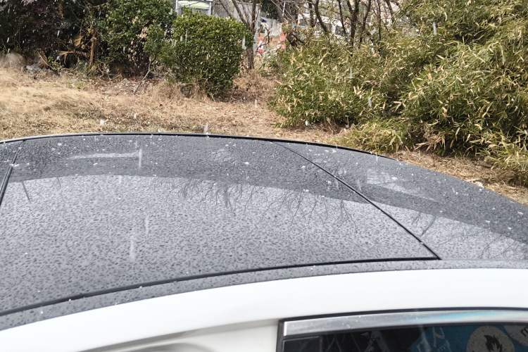 Used Mercedes-Benz C-Class 2015 Revised C 200 L Sport Edition
