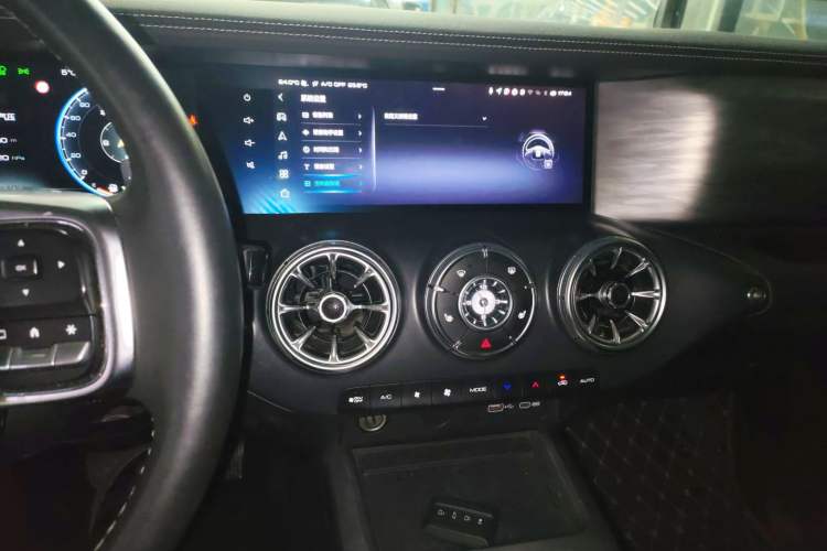 Used Tank 300 2024 2.0T Conqueror
