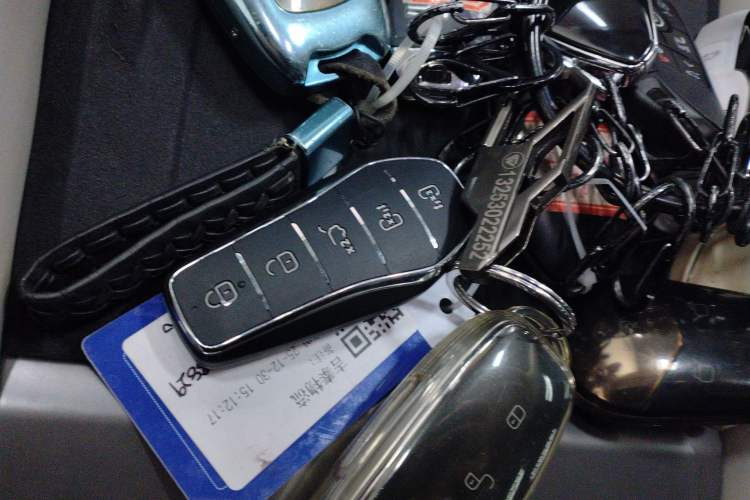 Used BYD Xia 2025 DM-i 1.5T 180km Excellence Model
