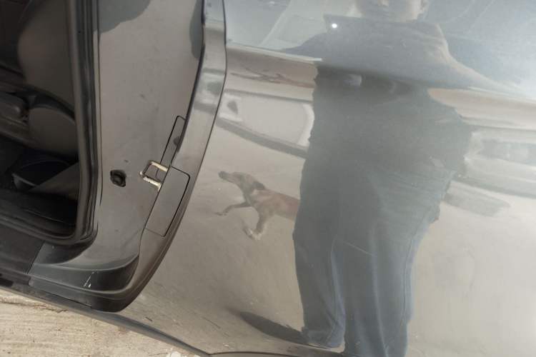 Used Chery Little Ant 2022 Sweet Pink Edition Low-Sugar Version 30kW 301km Range
