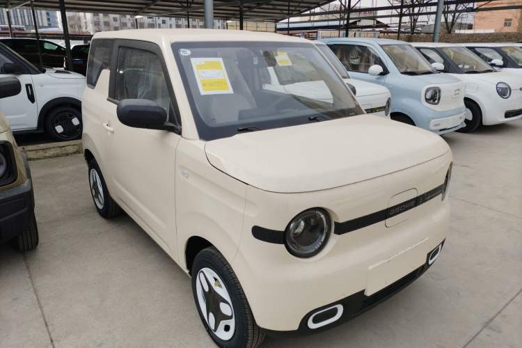 Used  Panda 2025 210 km – Yuanqi Bear