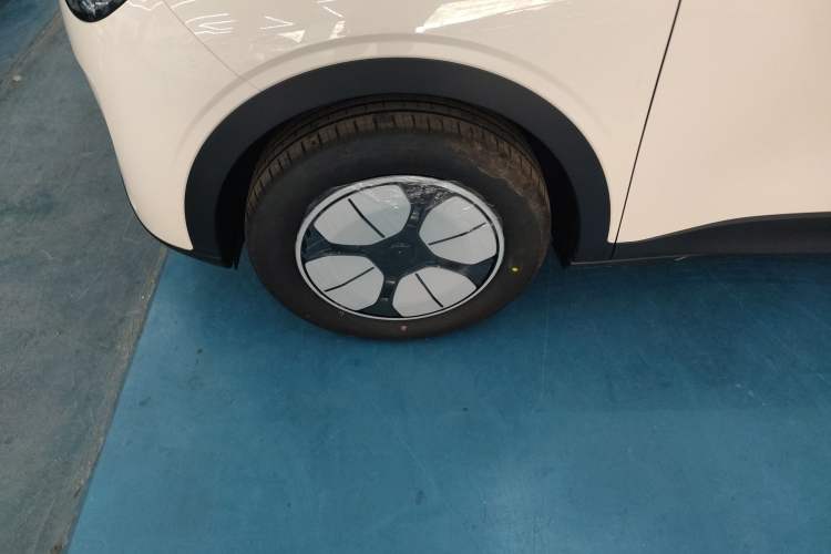 Used  Geome 2026 Model 310km Youth Edition
