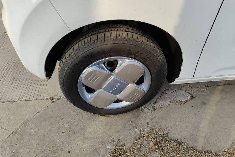 Used  Panda 2024 Panda Mini 200km Endurance Bear
