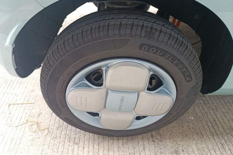 Used  Panda 2024 Panda Mini 200km Endurance Bear
