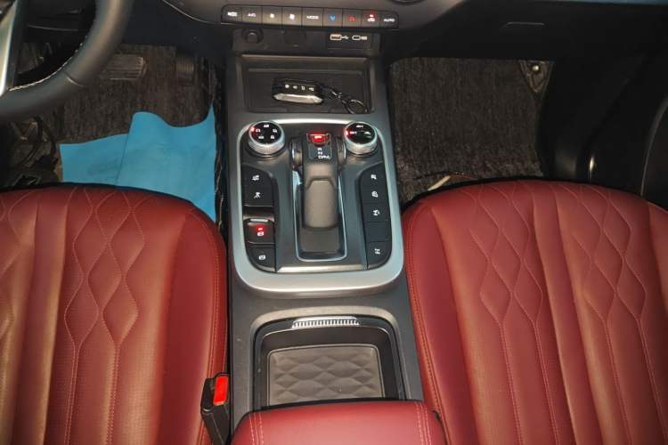 Used Tank 300 2024 2.0T Challenger
