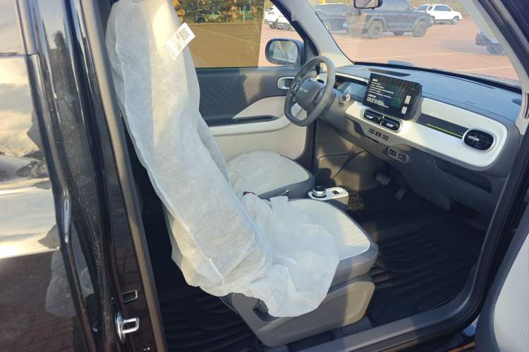 Used  Panda 2025 210km Panda Kart