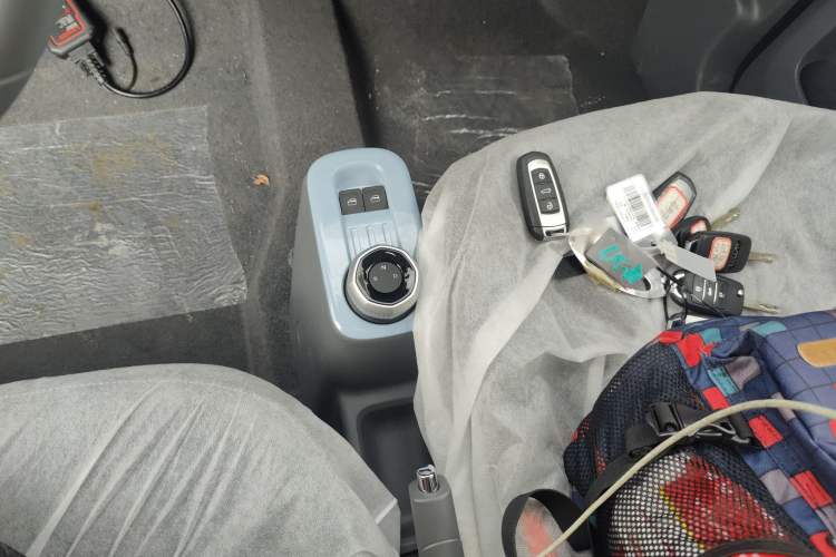 Used  Panda 2024 Panda Mini 200km Endurance Bear
