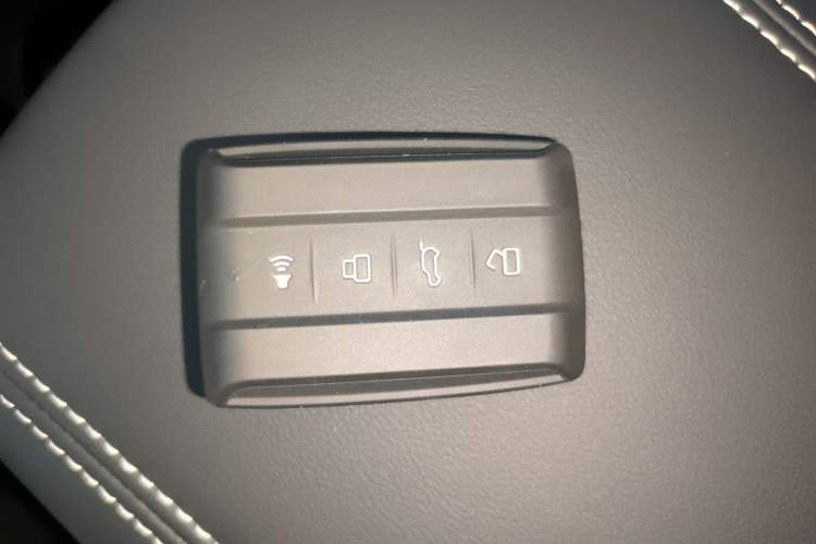 Used Tank 300 New Energy 2025 Hi4-T
