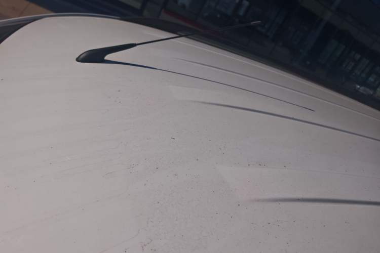 Used Wuling Hongguang 2019 1.5L S Standard Version China VI LAR
