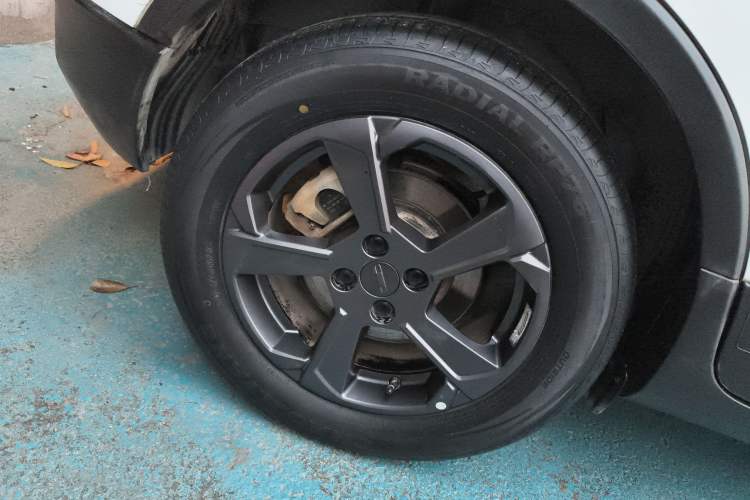 Used Geometry E Firefly 2023 401KM Linglong Tiger 5-Seater
