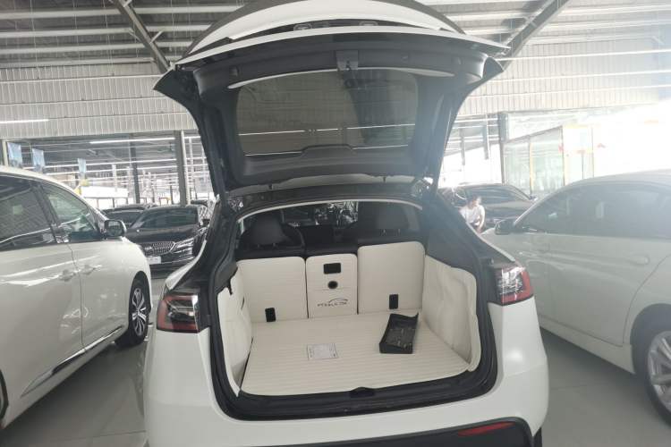 Used Tesla Model Y 2021 Standard Range Rear-Wheel Drive Version
