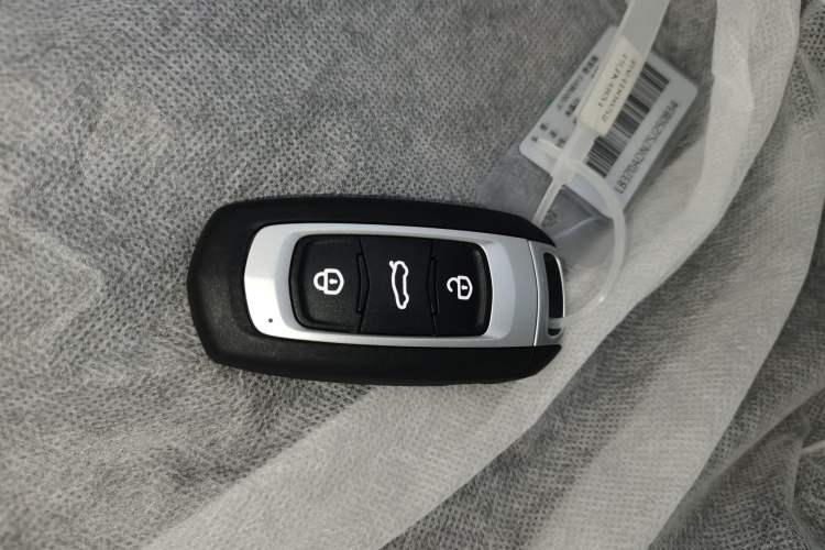 Used  Panda 2024 Panda Mini 200km Endurance Bear