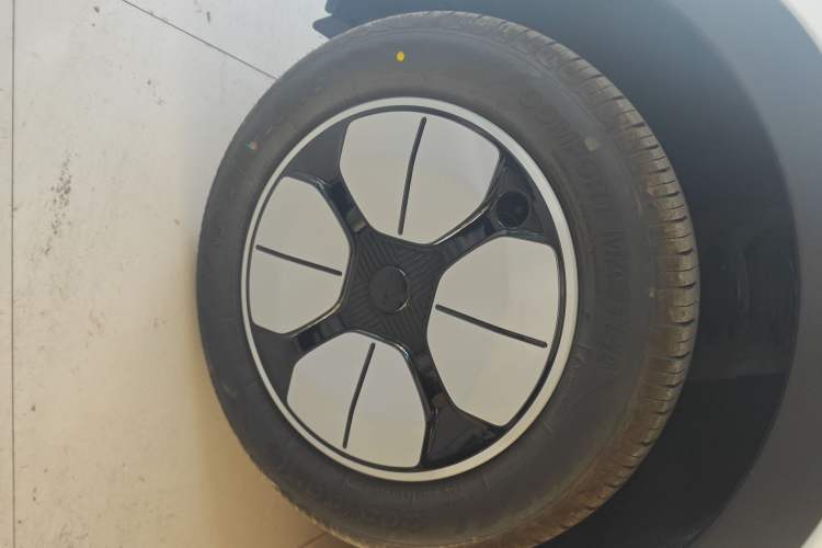 Used  Geome 2025 310km Youth Edition