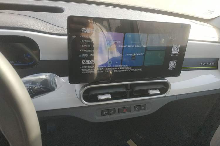 Used  Panda 2025 210 km – Yuanqi Bear