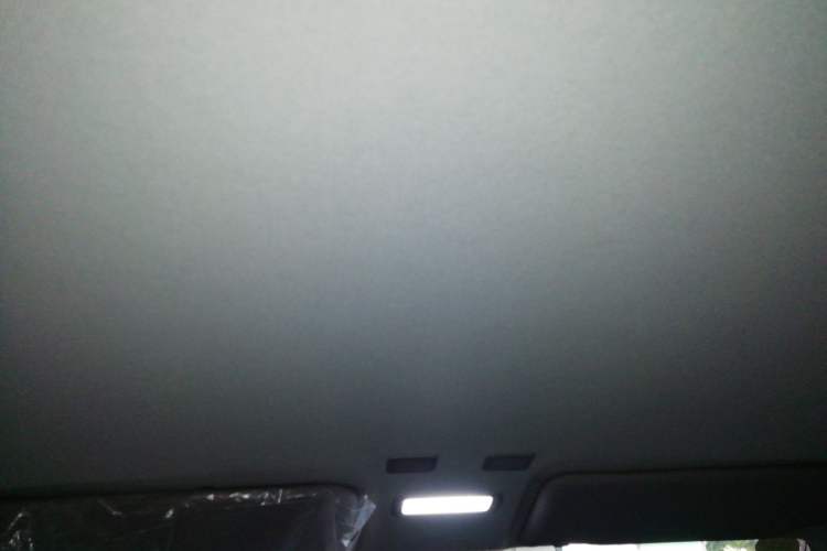 Used  Panda 2024 Panda Mini 200km Endurance Bear
