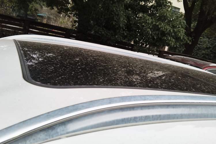 Used BMW X1 2019 sDrive20Li Leading Model
