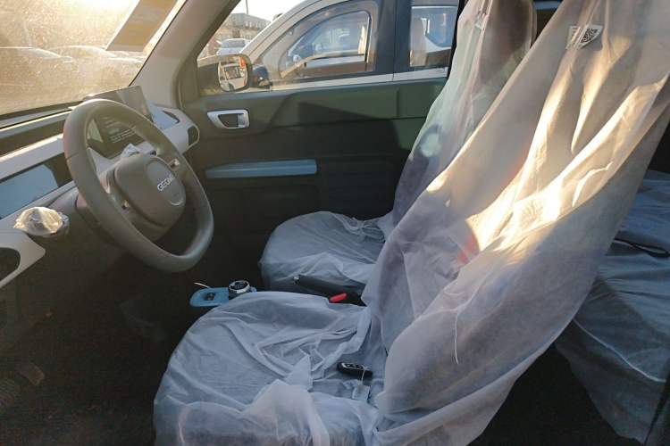 Used  Panda 2024 Panda Mini 200km Endurance Bear
