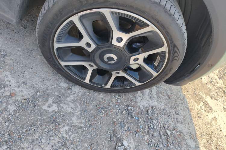 Used  #1 2022 Pulse Heartbeat Edition
