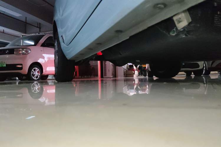 Used  Panda 2023 Panda Mini 200km Endurance Bear
