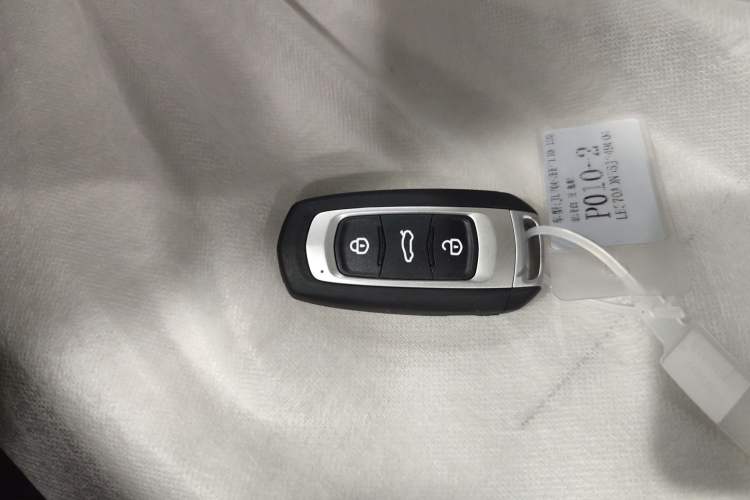 Used  Panda 2025 210 km – Yuanqi Bear
