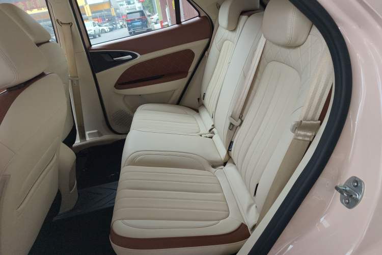 Used ORA Good Cat 2023 401 km Standard Range Luxury Version Lithium Iron Phosphate
