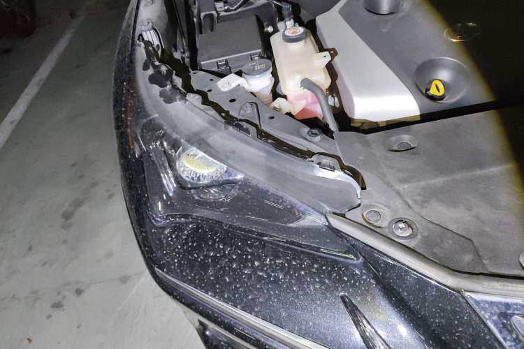 Used Lexus NX 2018 200 Front-Wheel-Drive X-Trail Version China V Standard