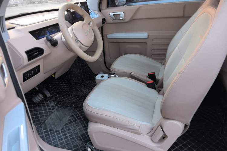 Used  Panda 2023 Panda Mini 200km Endurance Bear
