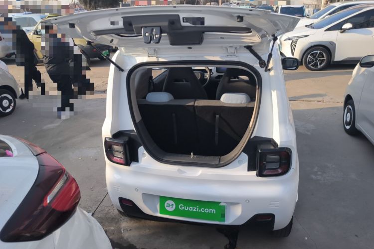 Used  Panda 2023 Panda Mini 200km Endurance Bear
