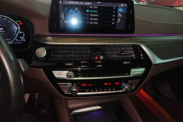 Used BMW 5 Series New Energy 2020 530Le Luxury Package
