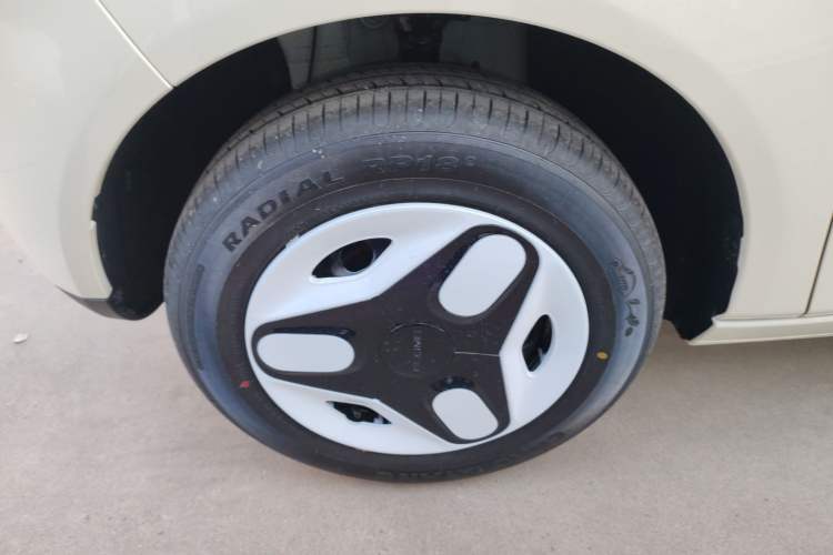 Used  Panda 2025 210 km – Yuanqi Bear
