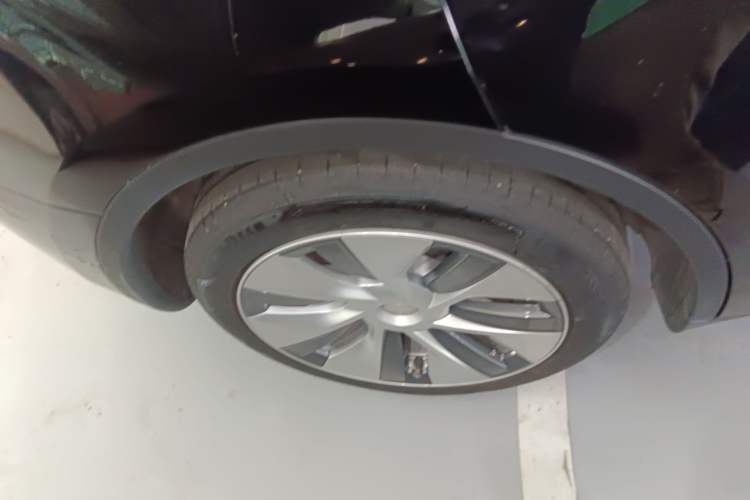 Used Tesla Model Y 2021 Standard Range Rear-Wheel Drive Version
