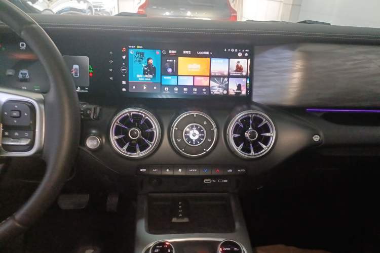 Used Tank 300 2024 2.0T Crosser
