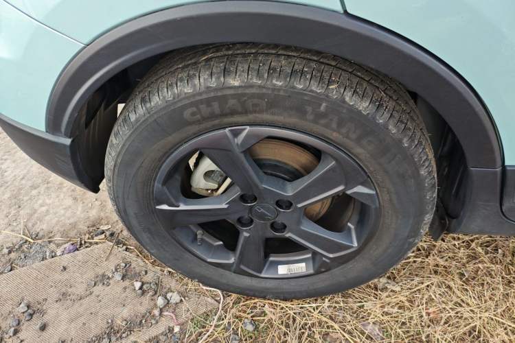 Used Geometry E Firefly 2022 401 km Linglong Tiger 4 Seats