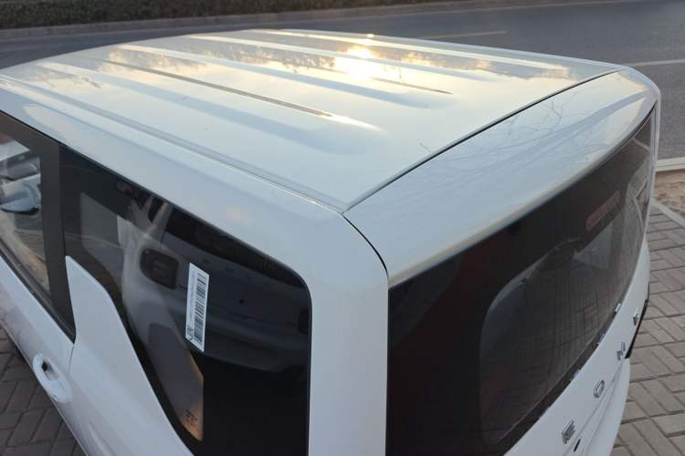 Used  Panda 2024 Panda Mini 200km Endurance Bear