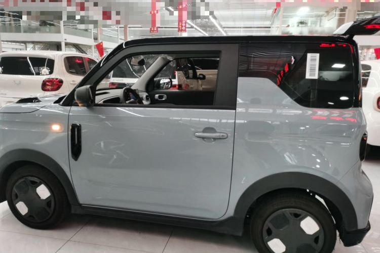 Used  Panda 2024 200km Panda Kart
