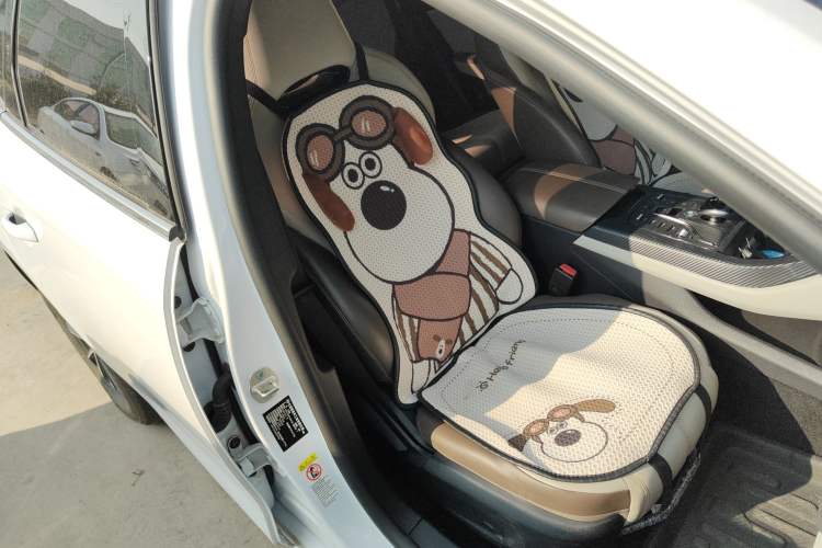 Used BYD Qin PLUS 2024 HONOR Edition DM-i 55KM Leading Model
