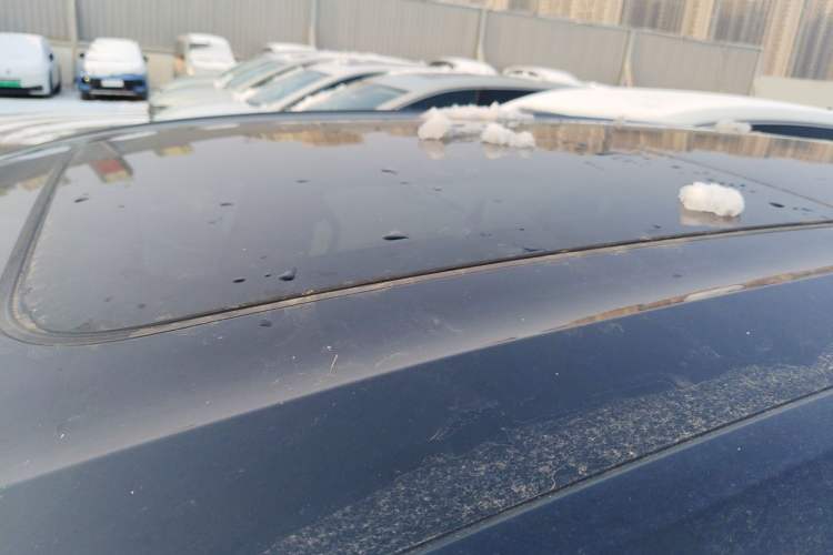 Used Volkswagen Viloran 2024 330TSI Luxury Edition