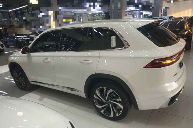 Used Geely Auto Monjaro L 2024 2.0TD High-Power Automatic Two-Wheel Drive Skyline Edition
