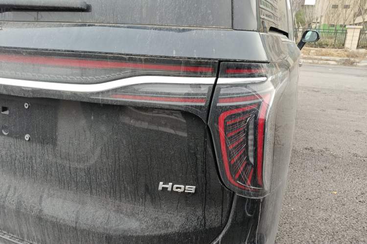 Used Hongqi HQ9 PHEV 2024 2.0T Four-Wheel Drive Business Edition
