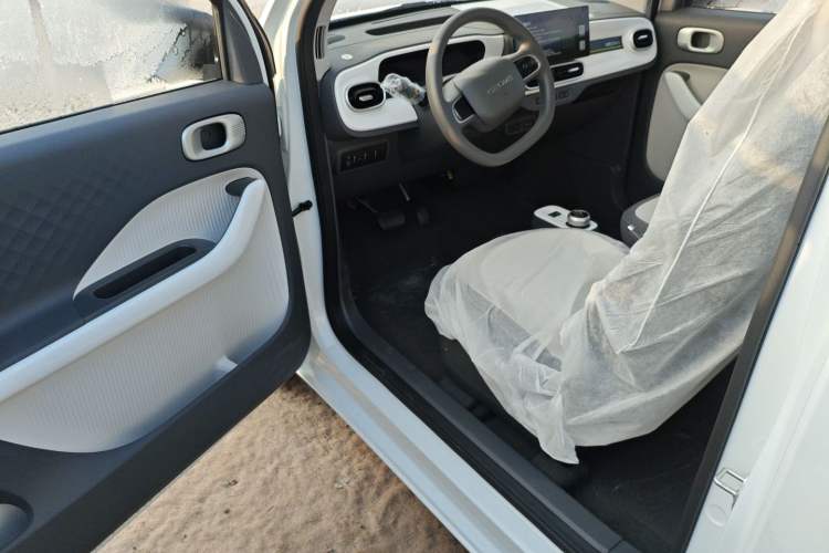 Used  Panda 2025 210 km – Yuanqi Bear