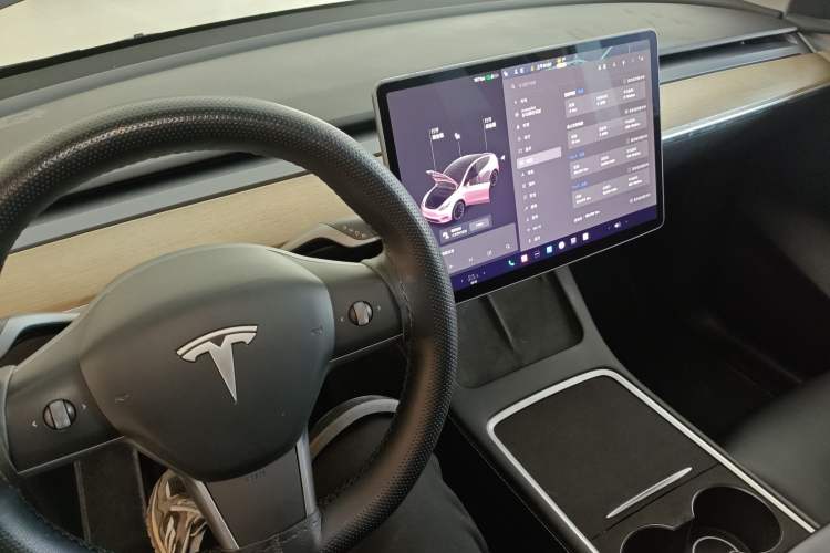 Used Tesla Model Y 2021 Standard Range Rear-Wheel Drive Version
