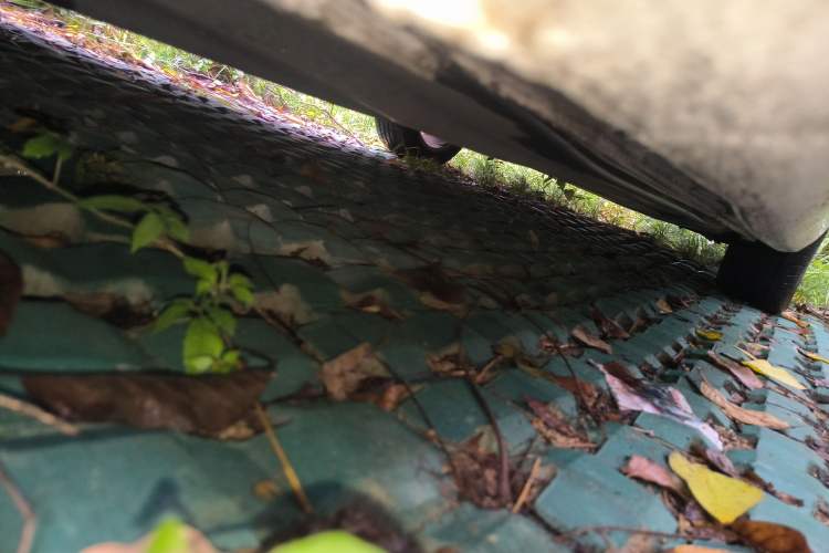 Used Volkswagen Lamando 2024 Lingdu L 200TSI DSG Trendy & Spicy Edition
