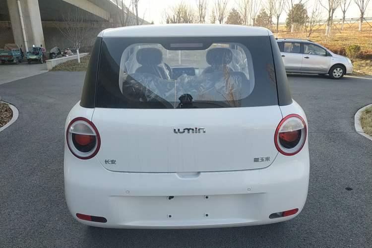 Used  Lumin 2025 205 km Xiangqin Version
