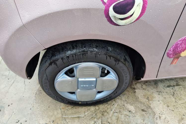 Used  Panda 2023 Panda Mini 200km Endurance Bear
