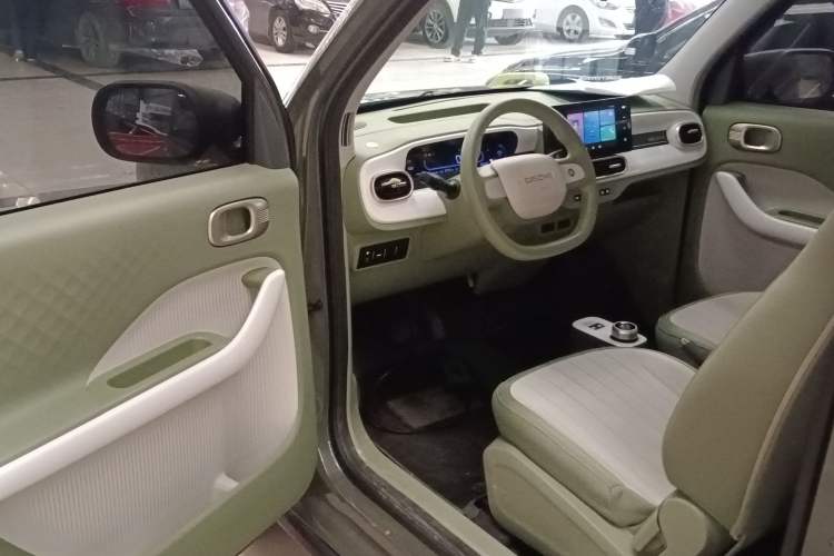 Used  Panda 2025 210km Panda Rider
