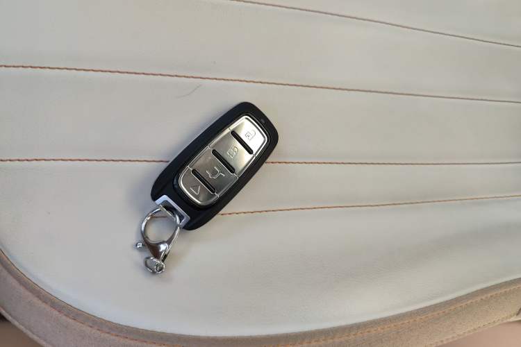 Used  Panda 2023 Panda Mini 200km Dynamic Bear