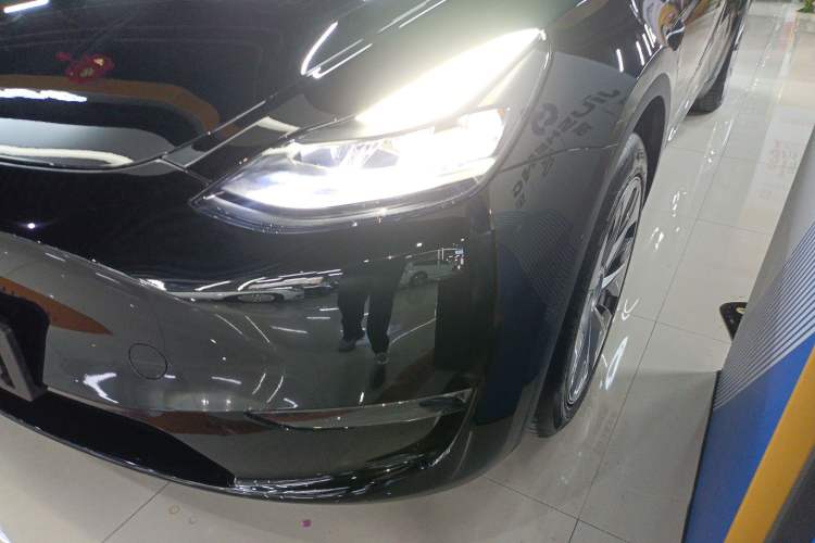 Used Tesla Model Y 2021 Standard Range Rear-Wheel Drive Version
